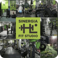 Logo de Sinergia Fit 